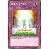 트루스리인포스(YSD6-KR040)