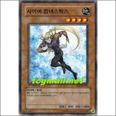 사이버짐내스틱스(EOJ-KR006)