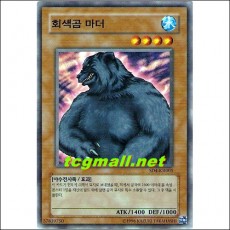 회샘곰마더(SD4-KR005)