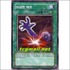 성급한매장(SD4-KR017)