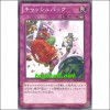 캐쉬백(ABYR-JP078)