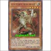 라이트로드몽크에이린(DS14-KRL08)