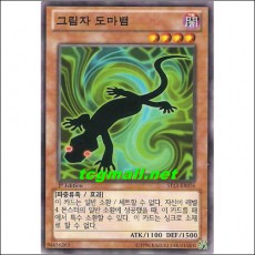 그림자도마뱀(ST13-KR016)