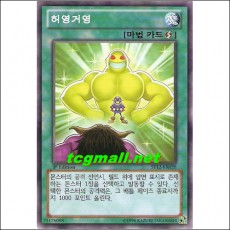 허영거영(ST12-KR020)