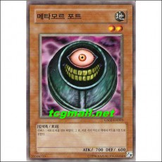 메타모르포트(GS02-KR003)
