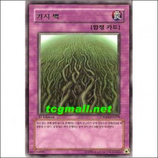 가시벽(CRMS-KR079)