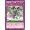 해룡신의가호(SD23-JP032)