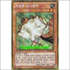 재빠른날다람쥐(GS05-KR002)S