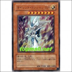 사일런트매지션LV8(NTR-JP002)