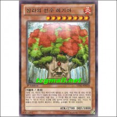 삼라의선수레기아(LVAL-KR020)