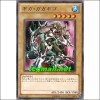기가가가기고(YSD5-JP004)