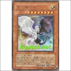 빛과어둠의용 (YG01-JP001)
