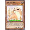 코도모드래곤(PR03-KR008)