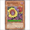 마법초만드라고라(SD16-KR015)
