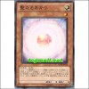 성스러운광채(SD20-JP022)