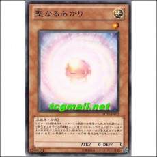 성스러운광채(SD20-JP022)
