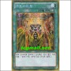 마도사의힘(GS05-KR014)S