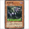 흑요암류(PTDN-JP023)