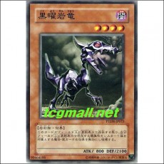 흑요암류(PTDN-JP023)