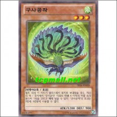 구사공작(PR04-KR008)