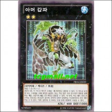 아머갑파(PR04-KR009)