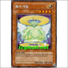 홀리제럴(ESP1-KR067)