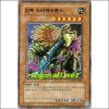 암흑의드리케라톱스(SD09-KR006)