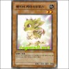 베이비케라사우루스(SD09-KR016)