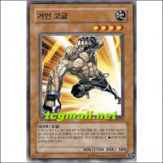 거인고글(TAEV-KR023)