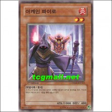 아캐인파이로(CRMS-KR022)