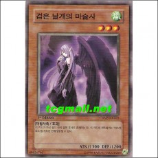 검은날개의마술사(CRMS-KR025)