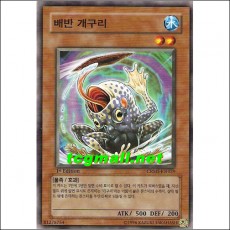 배반개구리(CRMS-KR029)