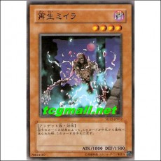 재생미라(SD15-JP012)