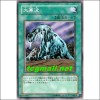 대한파(SD15-JP021)