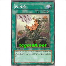 종자탄환(CRMS-KR057)