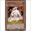기생체진드기(SOI-KR018)
