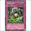 초능력치료(CRMS-KR077)