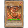 마그나드라고(YSD3-KR013)