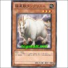 극성수탕그리스니르(STOR-JP010)