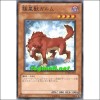 극성수가름(STOR-JP012)