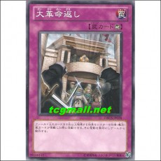대혁명뒤집기(ORCS-JP078)