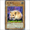 데스햄스터(BP1-KR176)