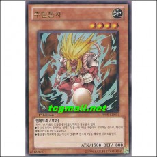 주탄동자(PP05-KR014)