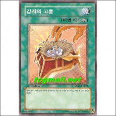 강자의고통(SD17-KR022)