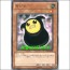 모자(EXP3-JP005)