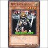 이차원의여전사(GS03-JP004)