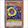 마법초만드라고라(MFC-KR072)