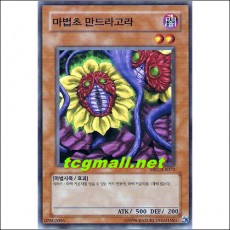 마법초만드라고라(MFC-KR072)