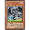 다크호루스드래곤(PTDN-JP016)