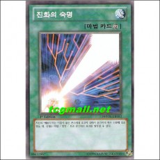 진화의숙명(PHSW-KR053)